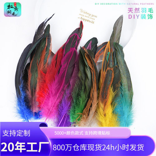 50根彩色羽毛公鸡尾毛12-20cm印第安头饰diy装饰逗猫棒猫玩具材料