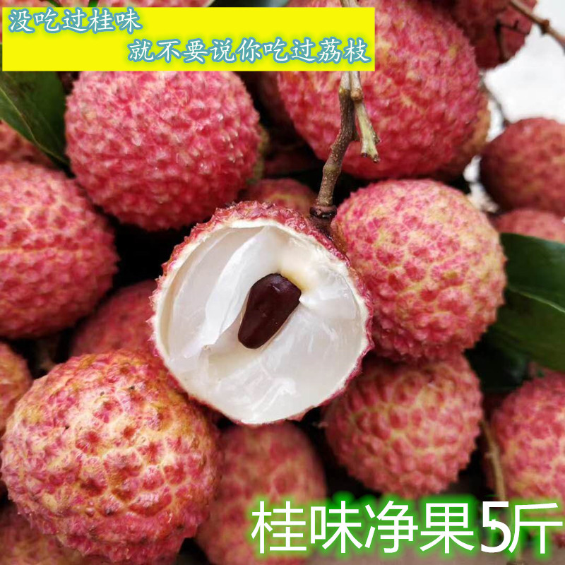 广东茂名高州白糖罂荔枝新鲜现摘现发