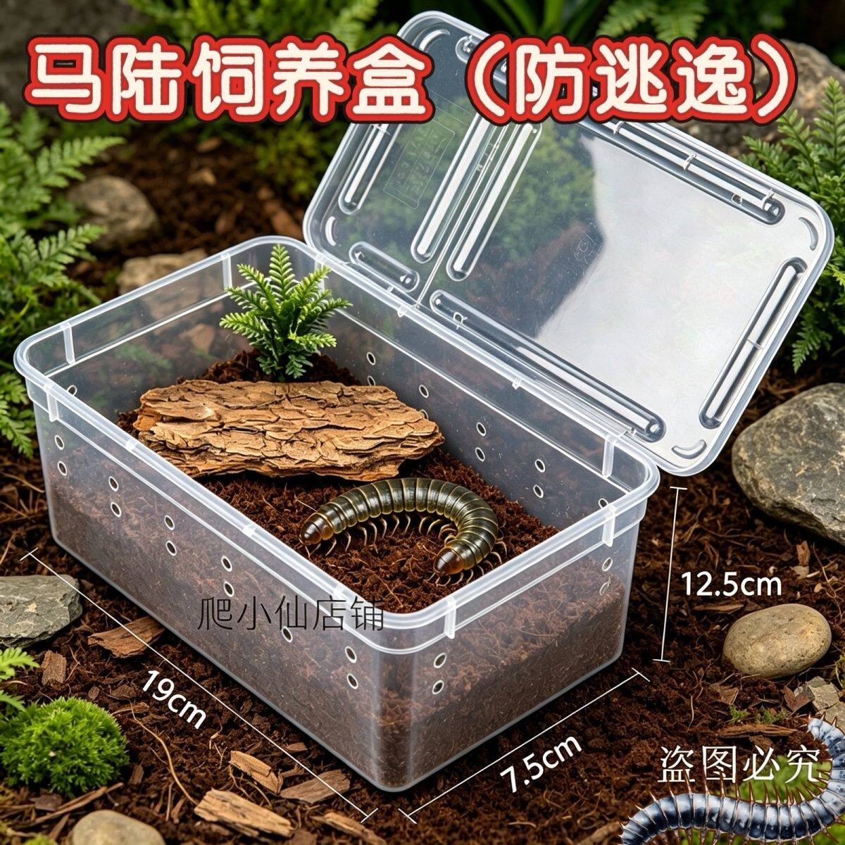 爬虫饲养盒带景马陆蜘蛛守宫蜥蜴爬宠缸/箱