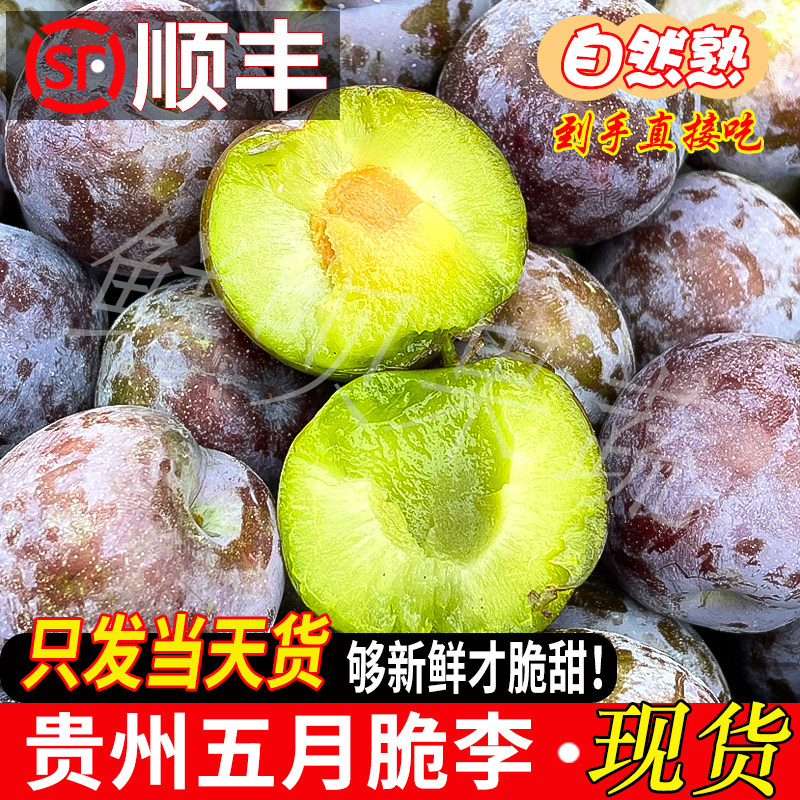 顺丰贵州五月脆李现摘脆甜