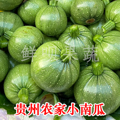 嫩南瓜新鲜现摘贵州小南瓜当季应季农家蔬菜绿色脆嫩香甜