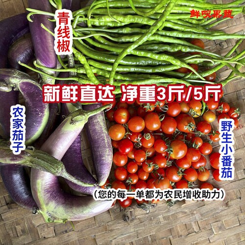农家新鲜蔬菜马蹄番茄青椒组合