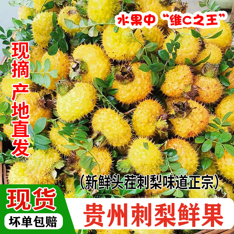 贵州特产野生刺梨鲜果现摘维C之王榨汁泡酒生吃当季孕妇水果5斤