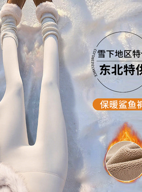 白色加绒鲨鱼裤女外穿2026新款显瘦冬季加厚保暖打底紧身瑜伽裤子