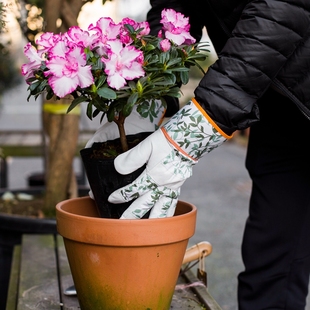 防刺保暖园艺手套皮质防扎防滑耐用护臂拌土修剪短款长筒带花鸢尾