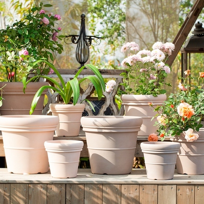 塑料简约现代种植盆栽嘉伯瑞