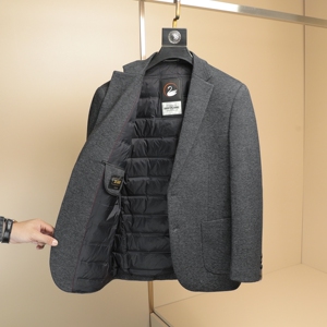 2025冬款男士西服羽绒90白鸭绒-D252-8216P255挂拍图片