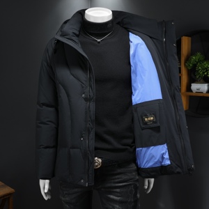 2025冬款男士羽绒服90白鸭绒-电商D252-89087P450628假模图片