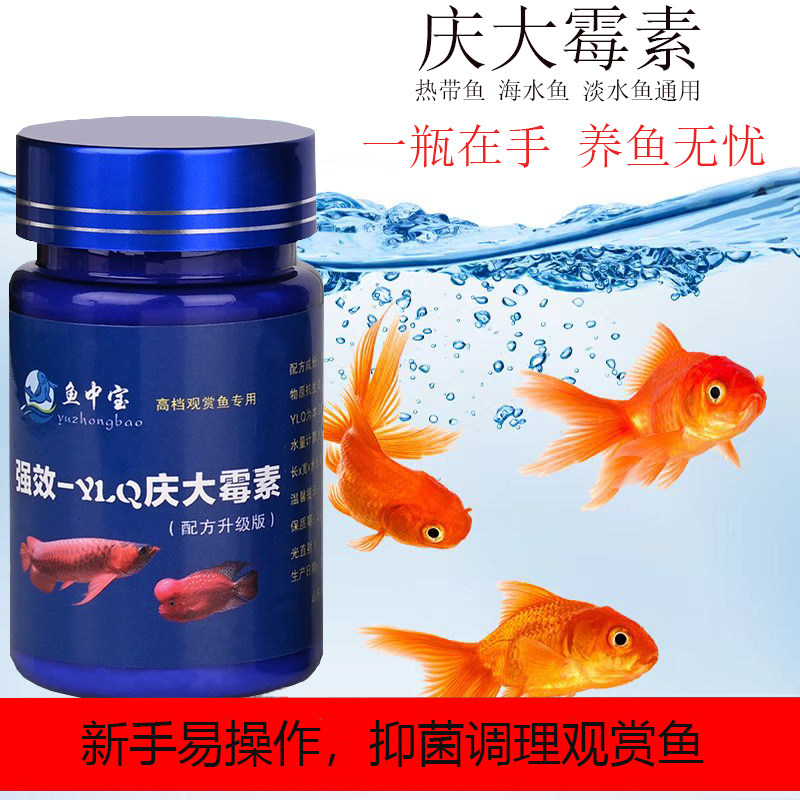 观赏鱼专用庆大霉素日常水体护理