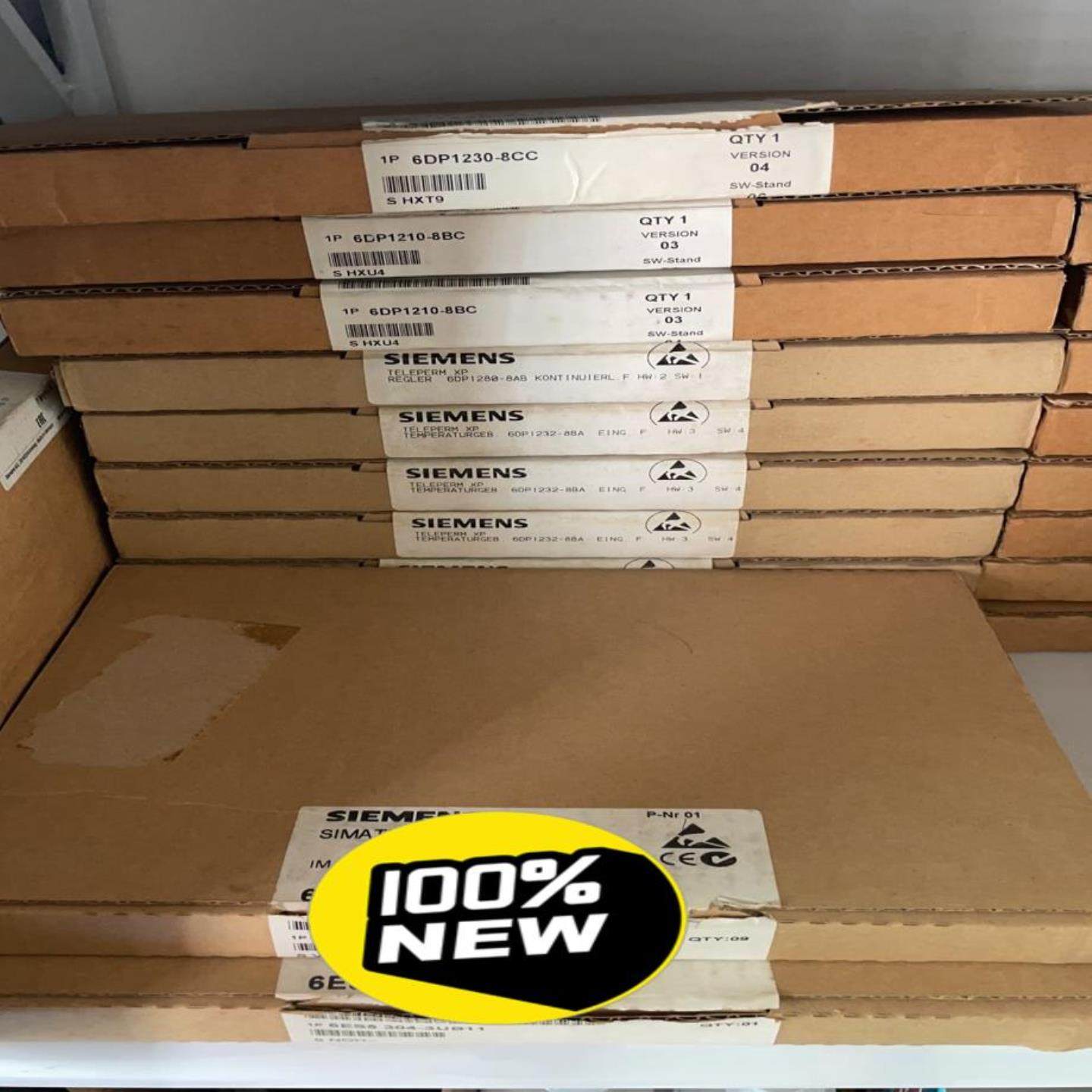 岚岚机械6DP1230-8CC