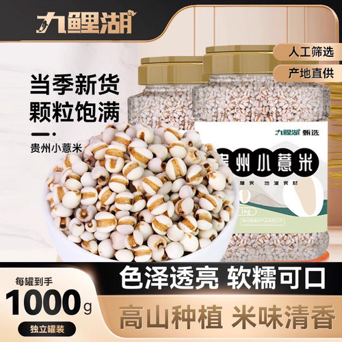 九鲤湖贵州小薏米新鲜
