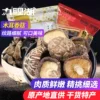 Товары от 九鲤湖旗舰店