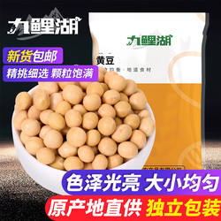 九鲤湖黄豆500g东北大豆农家新豆打豆浆非转基因五谷杂粮可生豆芽
