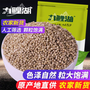 500g 九鲤湖农家小米五谷粗粮黑色小米杂粮粮油米 黑小米 买4送1