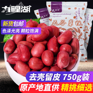 原味去壳花生仁生花生红衣花生仁红花生米 750g 九鲤湖 红皮花生