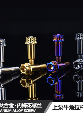 适用小牛NXT九号猎户座机械师mmax2刹车牛角拉杆固定螺丝M6钛合金