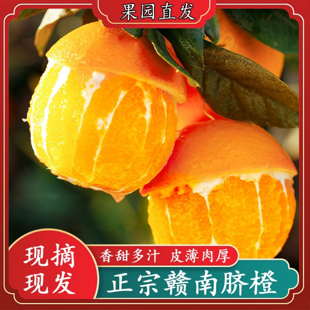 正宗赣南脐橙新鲜现摘产地直发