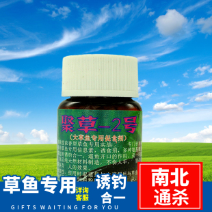 鱼机子 聚草 1号 2号 高浓缩 果香 促食剂 青鱼 黑鲩 草鱼