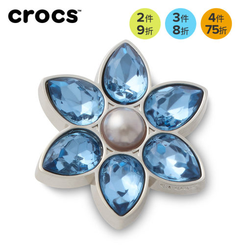 Crocs卡骆驰配饰智必星洞洞鞋鞋花 宝石花朵 宝石花束
