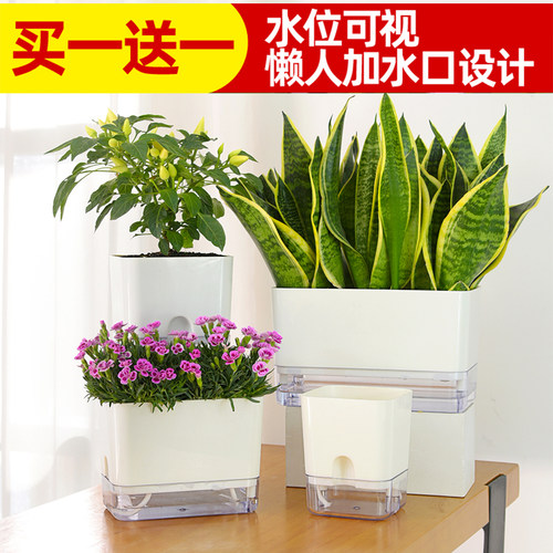 简约透明自动吸水免浇水懒人花盆方形磁吸塑料绿萝花卉水培花盆 - 封面