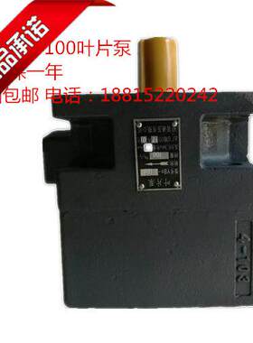 M7130平面磨床油泵YB1-100叶片泵杭州M7132磨床油泵液压泵配件