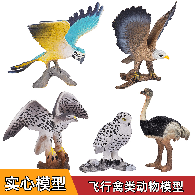 鸟类模型实心仿真动物