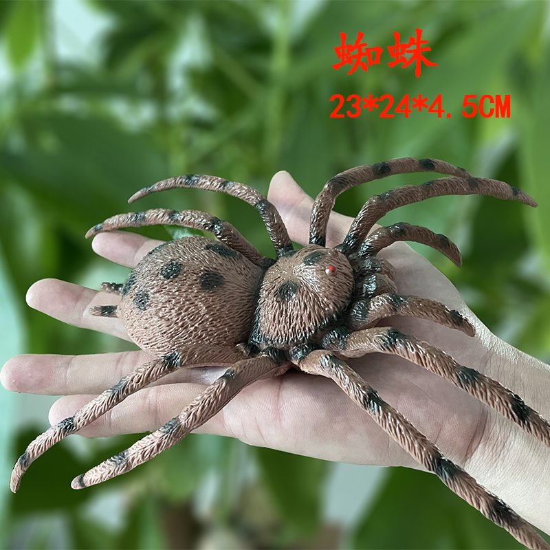 大号塑胶蜘蛛玩具昆虫模型仿真动物儿童教学标本男孩玩偶软橡胶-封面