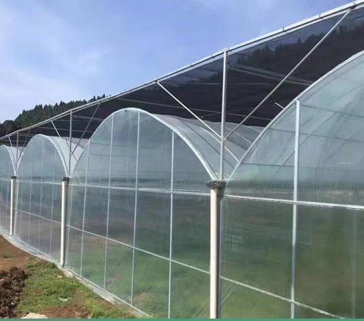 新型连栋温室大棚农业观光智能养植栽培玻璃温室建造简易连体棚