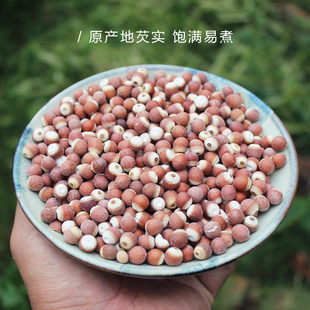 可磨粉 包邮 新货芡实干货500g 欠实芡实米鸡头米实农家自产