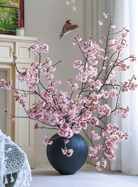 樱花鲜花【真的鲜切花！】新鲜采摘重瓣水养插花粉色枝条花年宵花