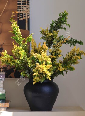 金丝凤尾鲜切花松柏水养插花枝条花材花期长新鲜真花侘寂风顺丰