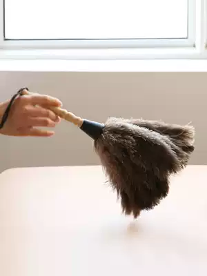 Chicken feather dust removal duster Soft ostrich feather Household dust removal duster sweep dust chicken feather duster