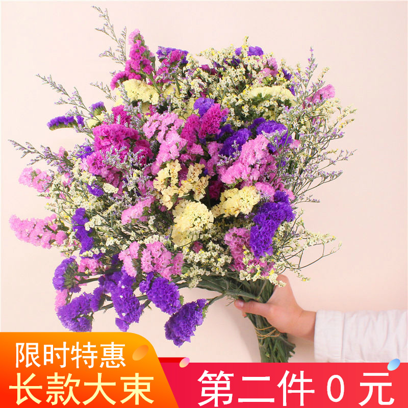 【第2件0元】云南勿忘我干花花束真花永生花满天星插花干花装饰摆在类目 鲜花速递/花卉仿真/绿植园艺, 永生花/干花, 干花中 - 来自Buy2taobao.com提供专业的淘宝代购服务