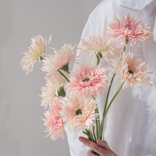 ins风仿真拉丝菊非洲菊弗朗菊小清新简约家居装饰婚庆摄影道具花