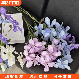 仿真花紫荆花火焰兰假花家居客厅摆件婚礼堂路引布景橱窗装饰花束