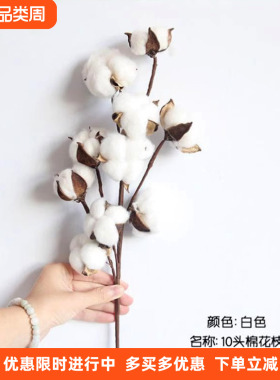 10头天然棉花枝白色干花仿真花家居装饰婚庆插花假花拍照道具复古