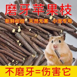 新苹果枝磨牙棒宠物磨牙咬木仓鼠荷兰猪龙猫豚鼠兔子树枝零食用品