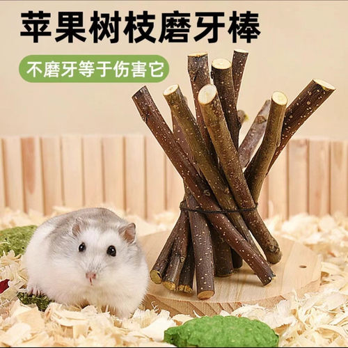 仓鼠荷兰猪零售新苹果枝磨牙棒