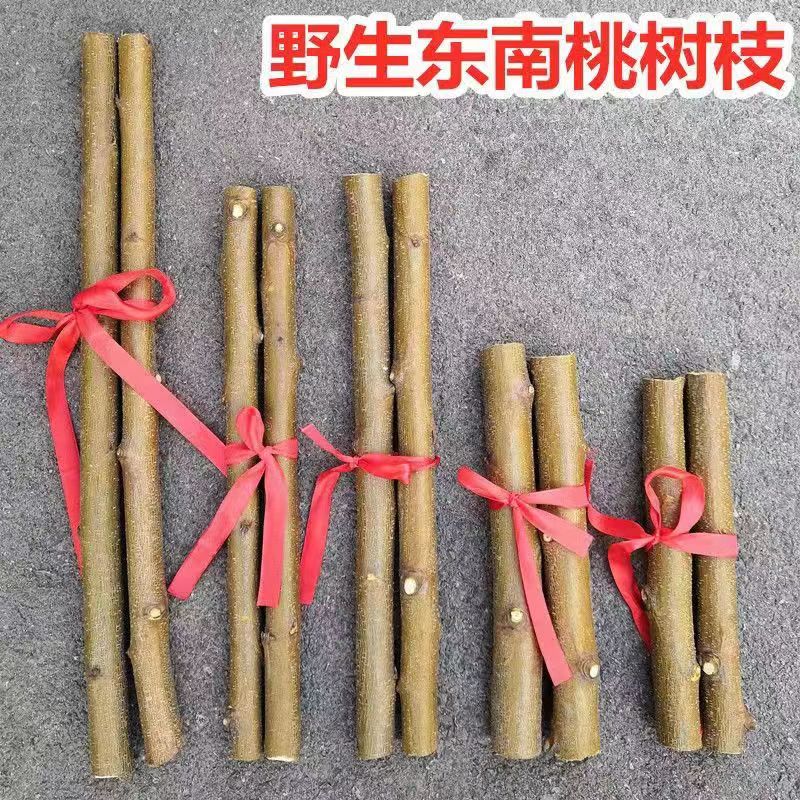东南桃木枝婴儿防惊吓防宝宝啼哭