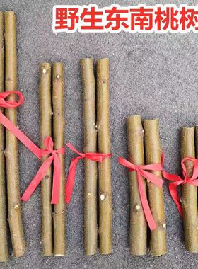 东南桃木枝婴儿防惊吓桃树枝条搬家转运护身桃木棍宝宝夜哭收惊吓