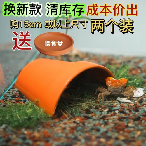 乌龟晒台黄缘龟躲避屋