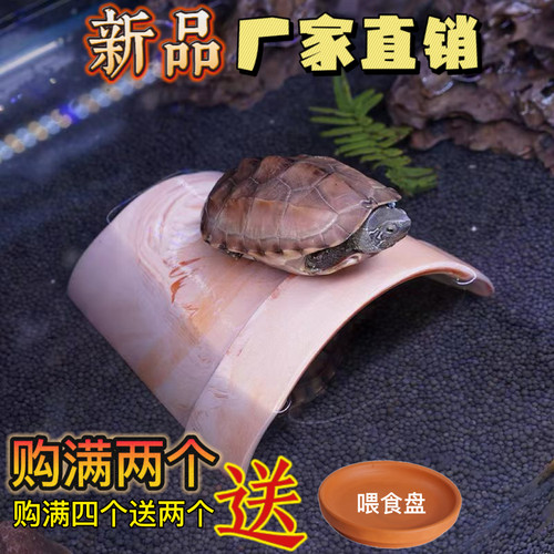 异型鱼六角恐龙乌龟躲避罐躲避屋紫砂繁殖罐鱼缸巴西龟黄缘晒台
