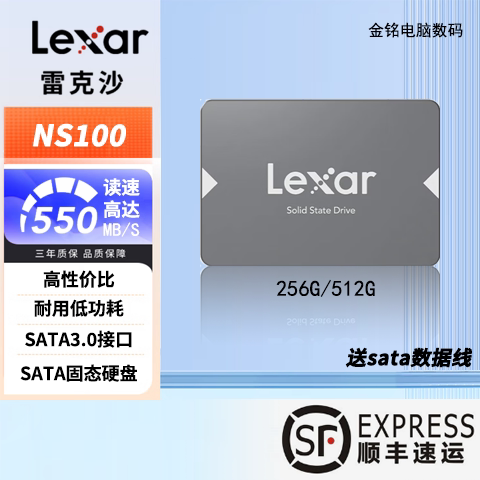 雷克沙NS100SATA固态512G/256G