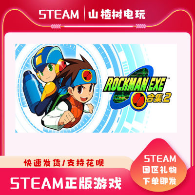 ROCKMAN EXE 合集2  steam国区礼物