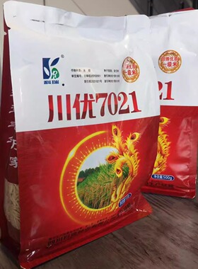 原装杂交水稻种子川优7021谷子种子口感软糯香甜不回生500克/袋