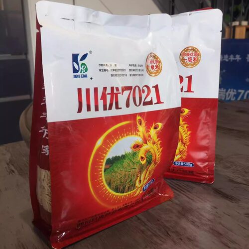 水稻种子口感软糯香甜不回生