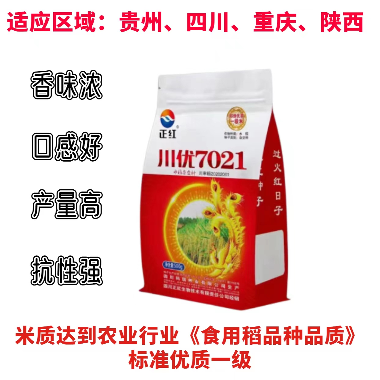 浓香型长粒一级香米水稻种子川优7021香米口感软而不糯有嚼劲