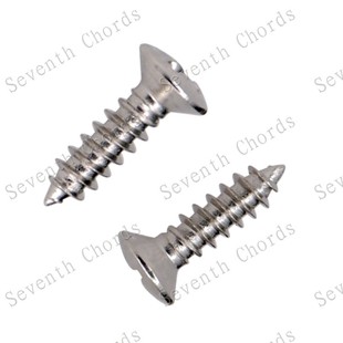 6颗银3 电贝司后盖板螺丝 固定螺丝 ST等电吉他后盖板安装