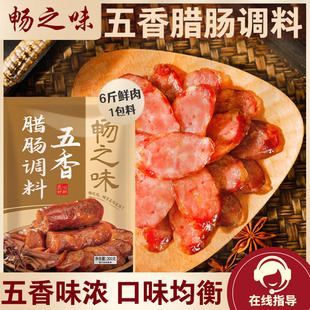 畅之味腊肠调料五香香肠料200g家用自制干肠腊肠麻辣味灌肠料调料