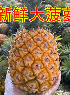 广西香水菠萝新鲜水果菠萝应当季水果大菠萝整箱现摘大个新鲜菠萝